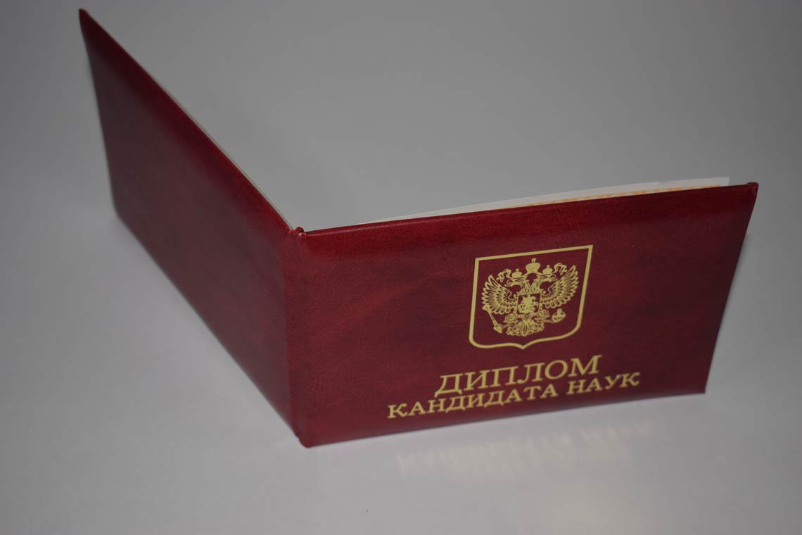 Диплом Кандидата Наук 2017-2025 в Барнауле корка